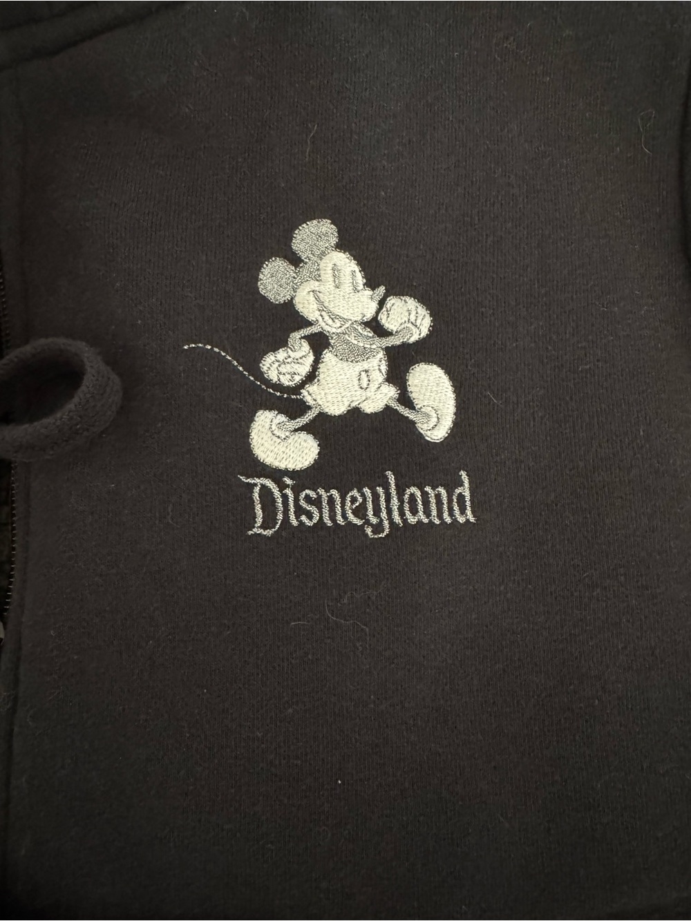 Disney Black Sherpa-Lined Zip Hoodie with Subtle Logo - Picture 2 of 3